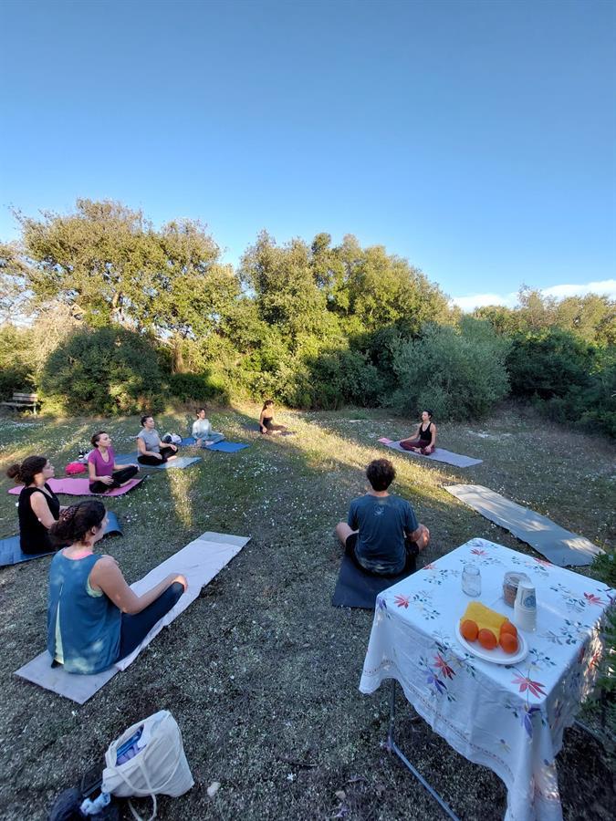 Yoga in the forrest